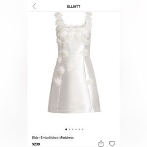 Elder Embellished Mini Dress